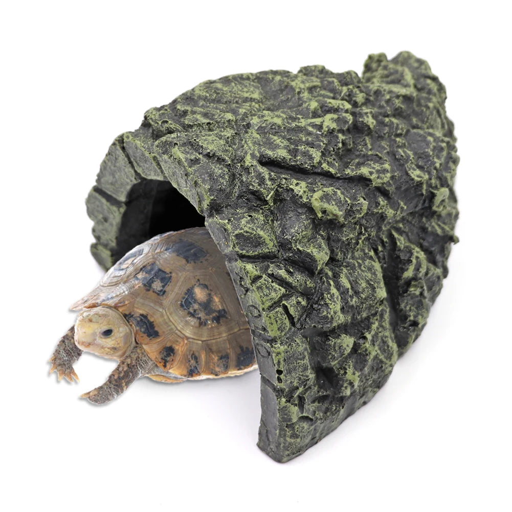 Grotte Cachette Naturelle pour Reptile & Tortue - Décor Terrarium