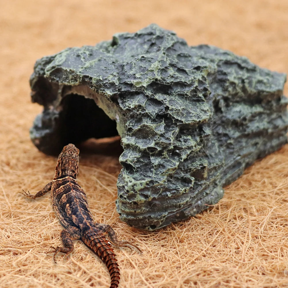 Grotte Cachette Naturelle pour Reptile & Tortue - Décor Terrarium