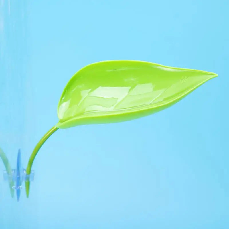 Feuilles Décoratives à Ventouse pour Terrarium - Gecko & Grenouille