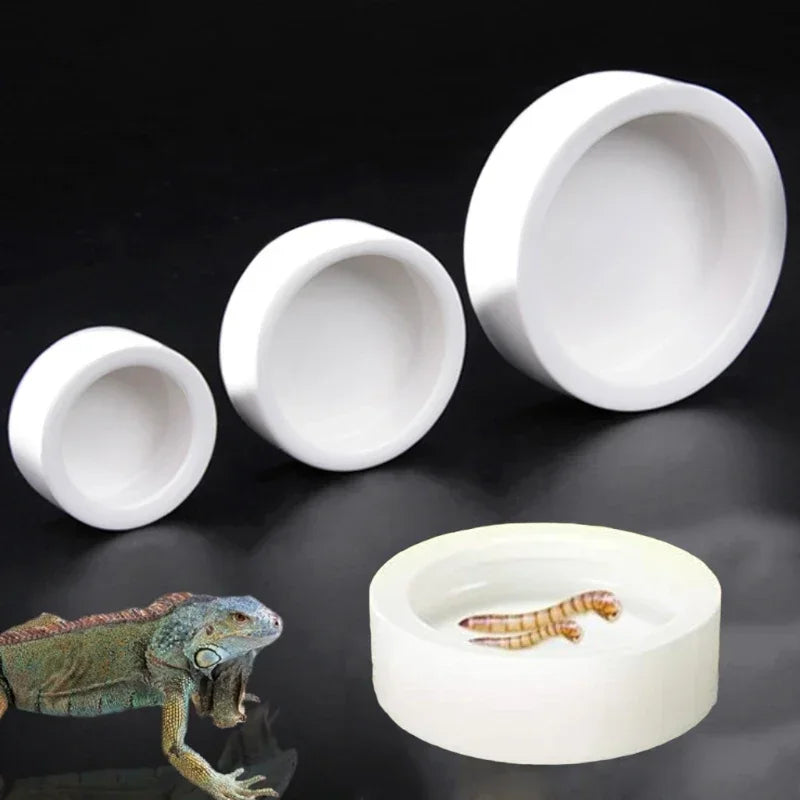 Gamelle Céramique Anti-Fuite pour Reptile - Vers & Insectes