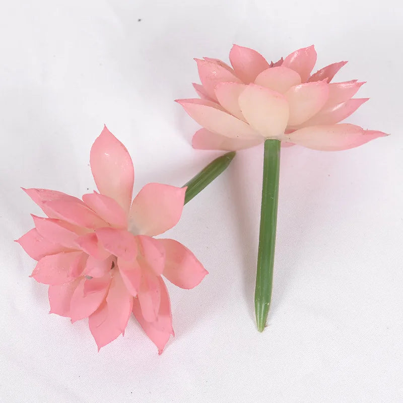 Lot de Plantes Succulentes Artificielles pour Terrarium Désertique