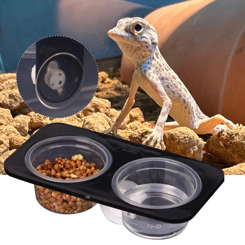 Mini Gamelle à Ventouse pour Gecko & Caméléon