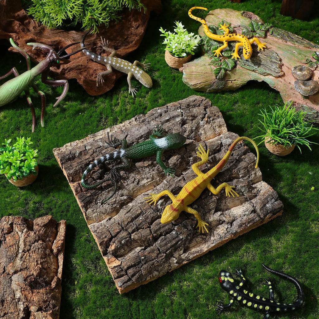 Plaques d'Écorce de Liège Naturelle pour Fond de Terrarium - Lot de 4