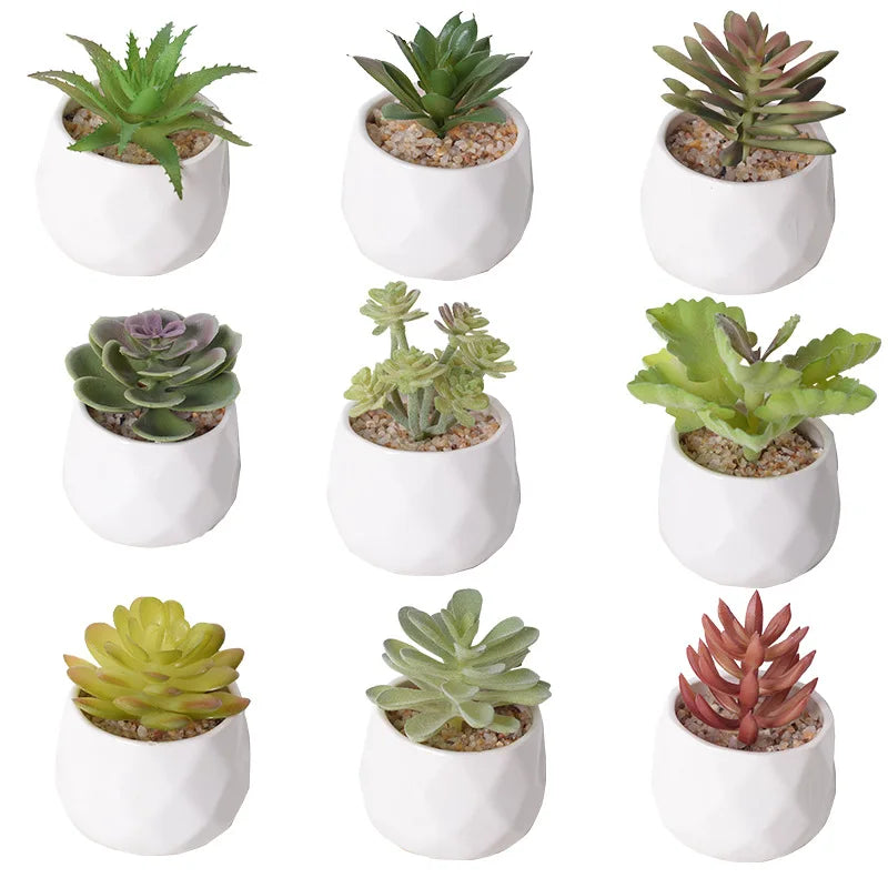 Lot de Plantes Succulentes Artificielles pour Terrarium Désertique