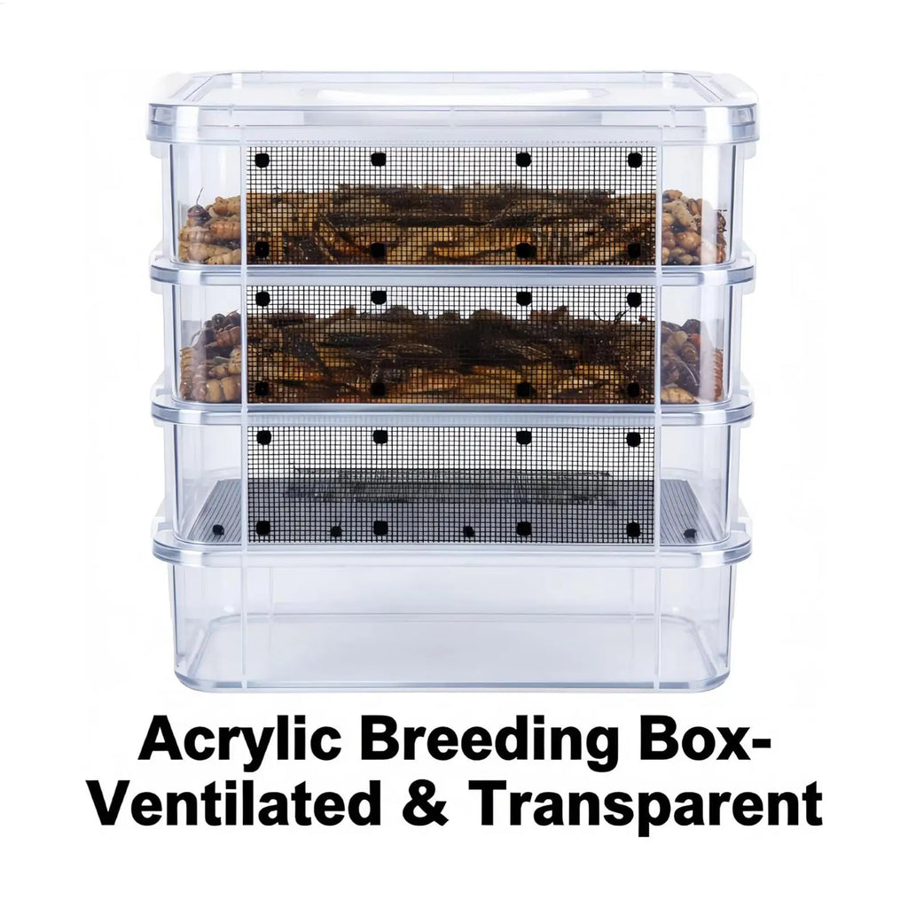 Kit d'Élevage de Vers de Farine 4 Étages - Nourriture Vivante pour Reptiles