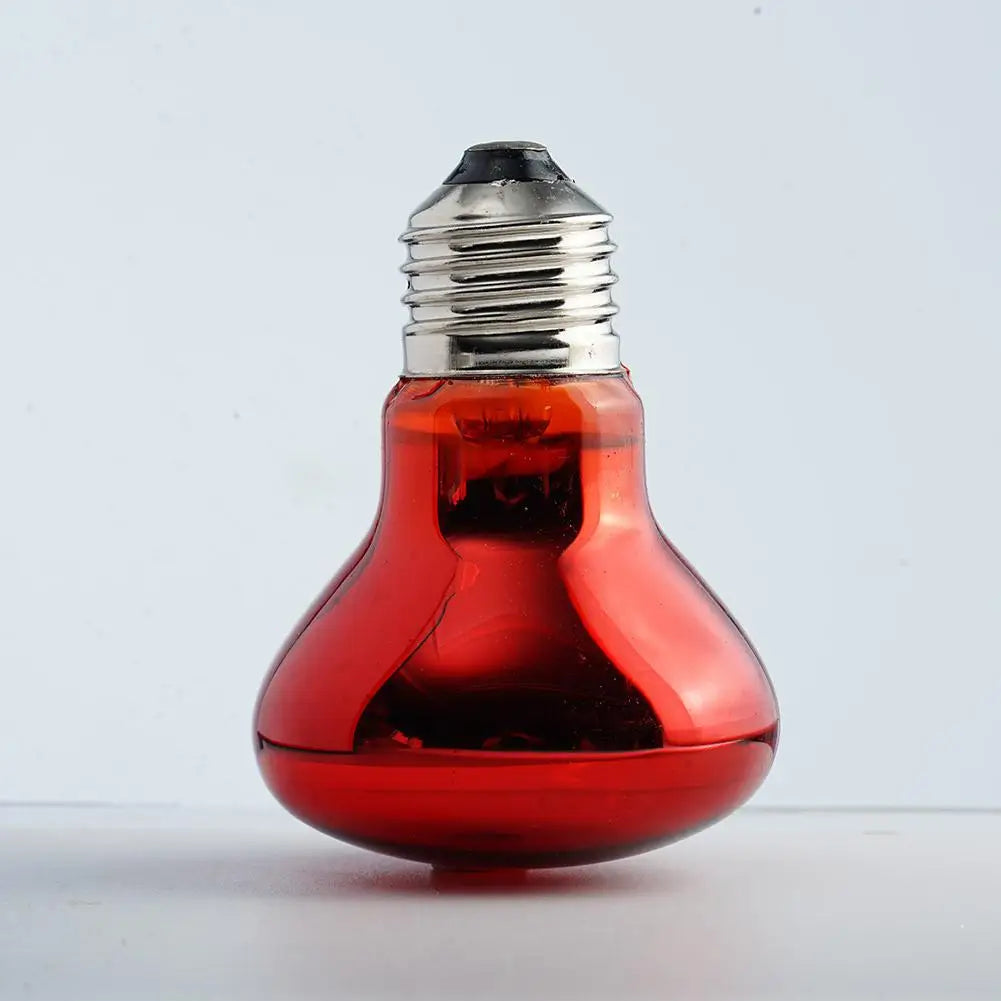 Ampoule Chauffante Infrarouge E27 pour Terrarium - Lampe Reptile 25W-100W