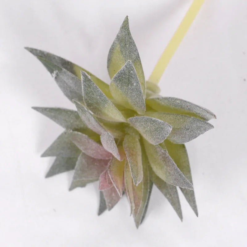 Lot de Plantes Succulentes Artificielles pour Terrarium Désertique