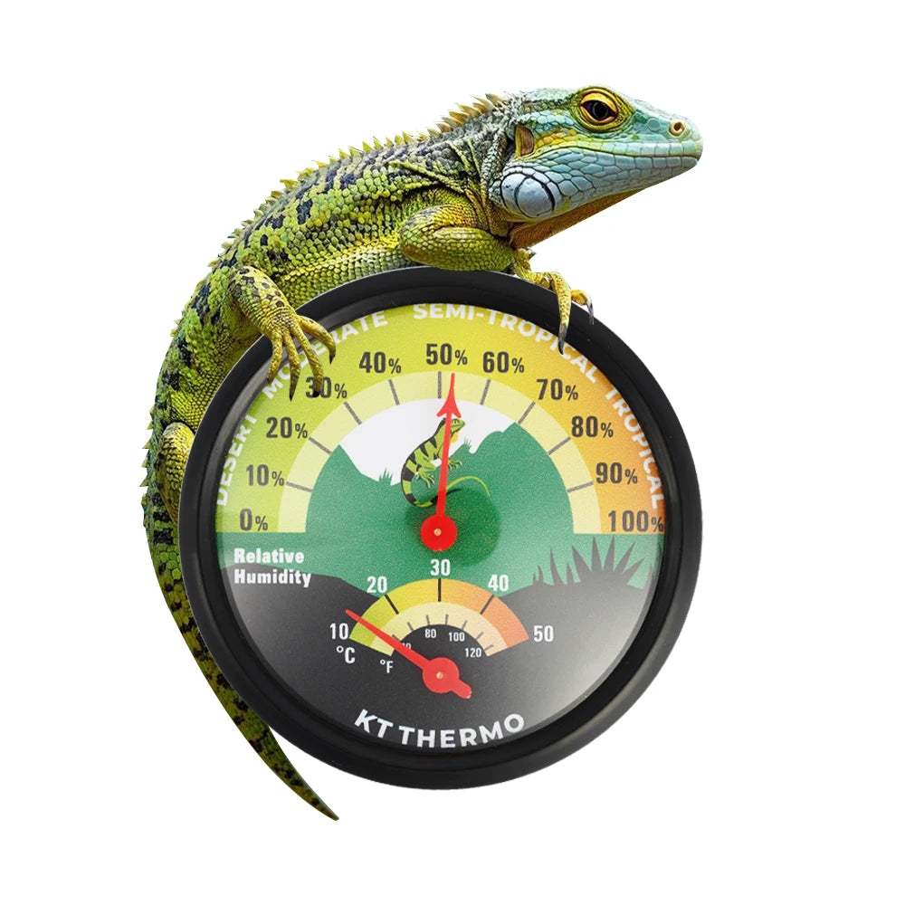 Thermomètre Hygromètre Analogique à Ventouse pour Terrarium - Sans Pile