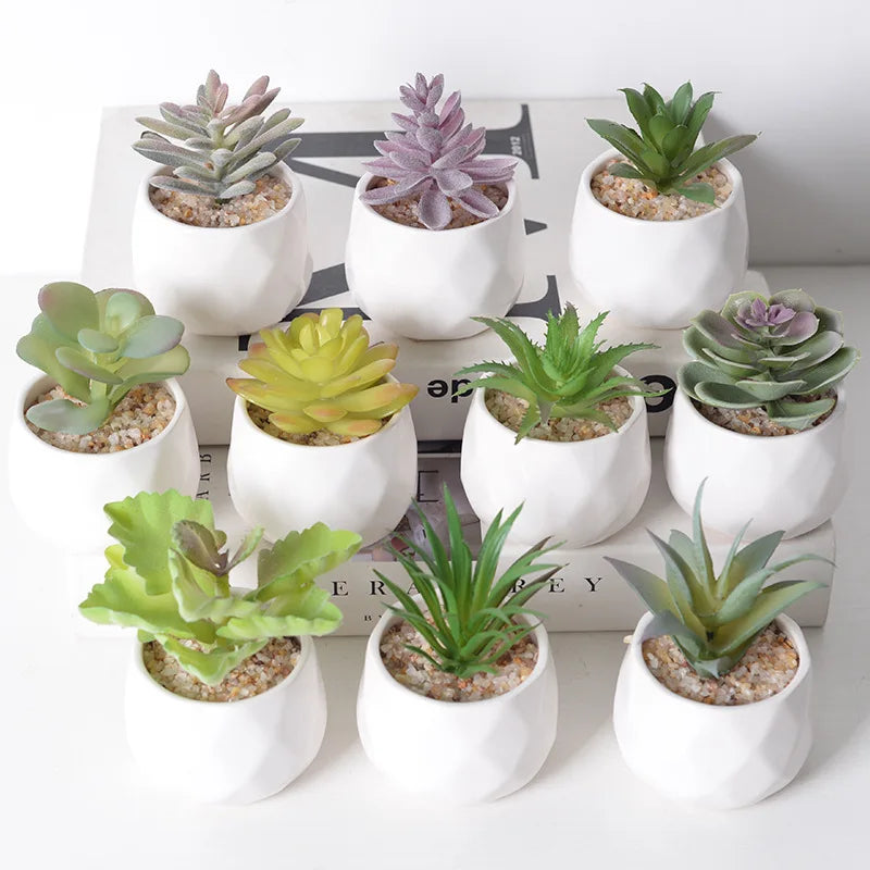 Lot de Plantes Succulentes Artificielles pour Terrarium Désertique