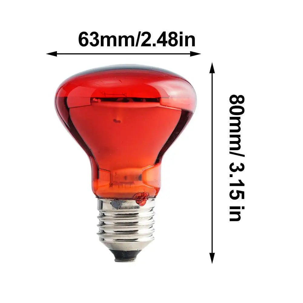 Ampoule Chauffante Infrarouge E27 pour Terrarium - Lampe Reptile 25W-100W