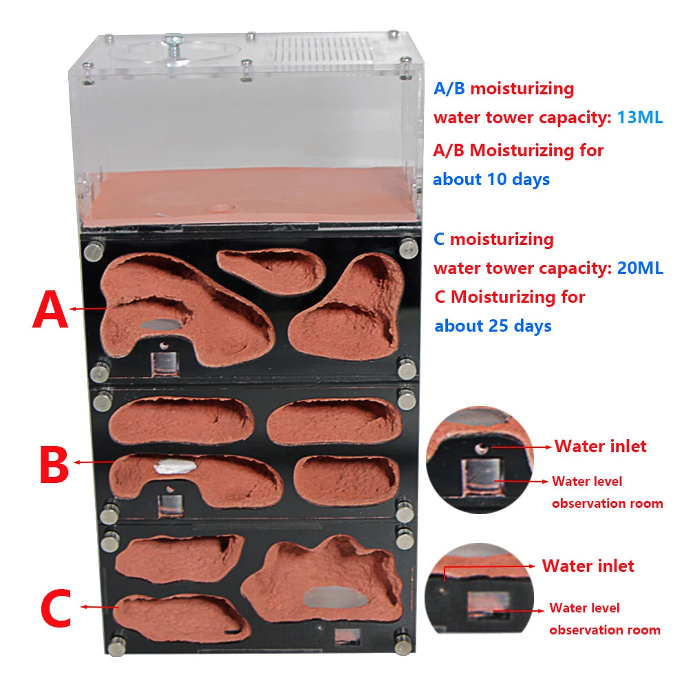 Fourmilière en Béton et Acrylique avec Contrôle de Température - Nid à Fourmis Modulable
