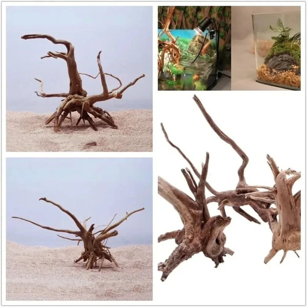 Racine Bois Flotté Naturelle pour Terrarium & Aquarium