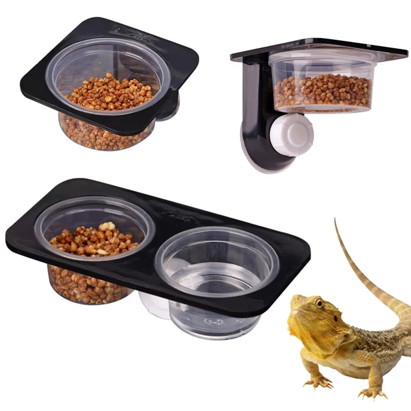 Mini Gamelle à Ventouse pour Gecko & Caméléon