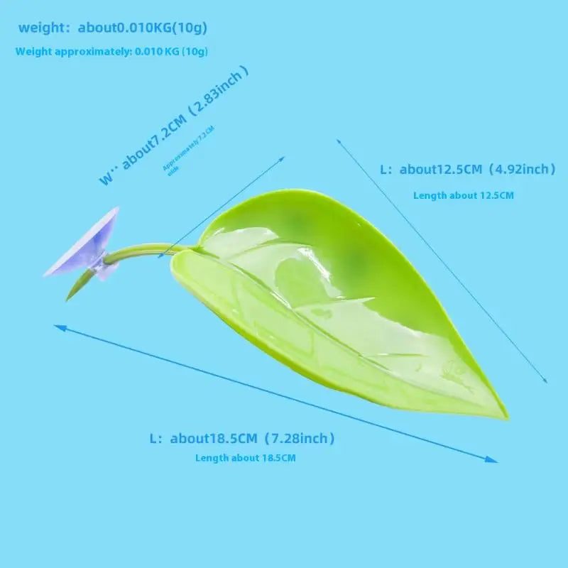 Feuilles Décoratives à Ventouse pour Terrarium - Gecko & Grenouille