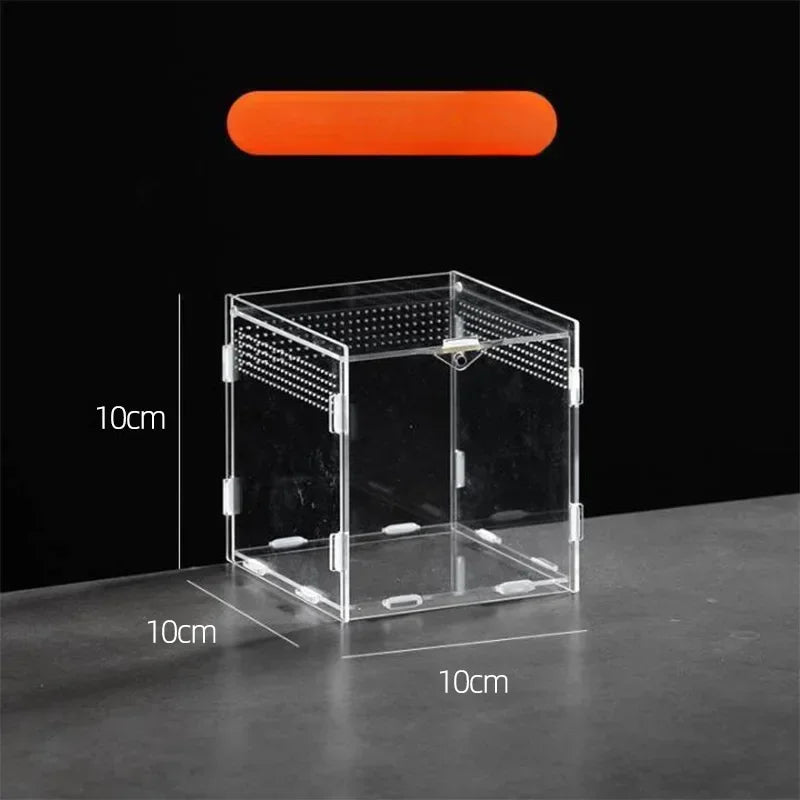Terrarium Acrylique Transparent pour Élevage - Boîte d'Éclosion Reptiles &amp; Insectes