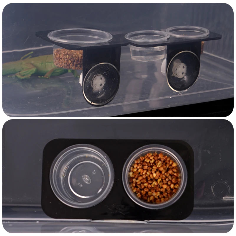 Mini Gamelle à Ventouse pour Gecko & Caméléon