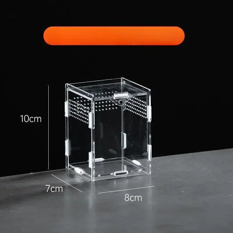 Terrarium Acrylique Transparent pour Élevage - Boîte d'Éclosion Reptiles &amp; Insectes