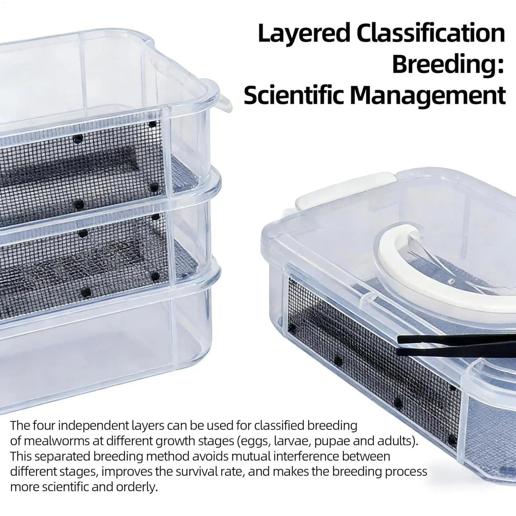 Kit d'Élevage de Vers de Farine 4 Étages - Nourriture Vivante pour Reptiles