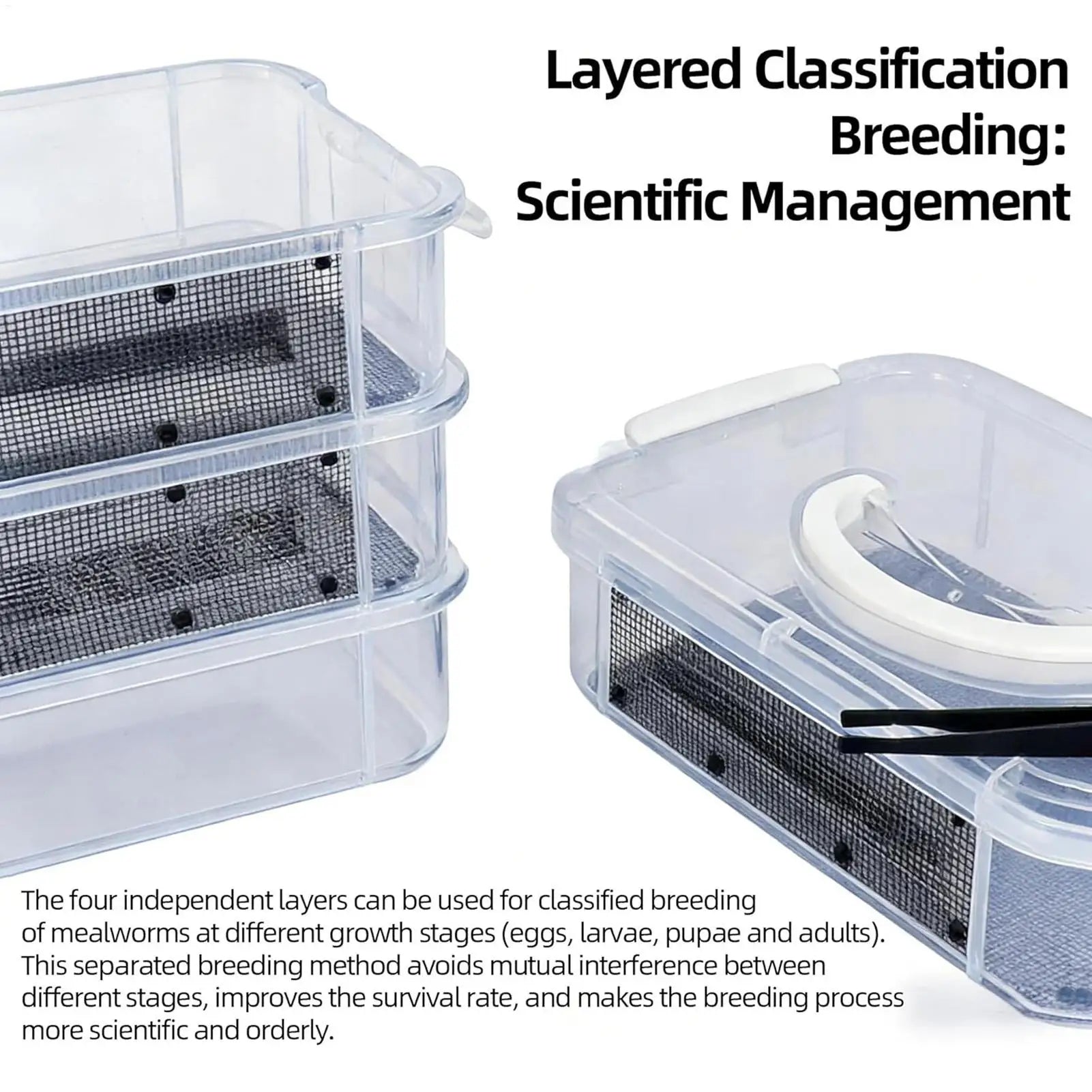 Kit d'Élevage de Vers de Farine 4 Étages - Nourriture Vivante pour Reptiles