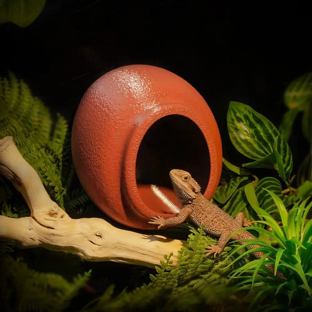 Cachette Murale à Ventouse pour Reptile - Grotte Gecko