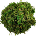 Mousse Artificielle Décorative pour Terrarium - Vert / Chartreuse