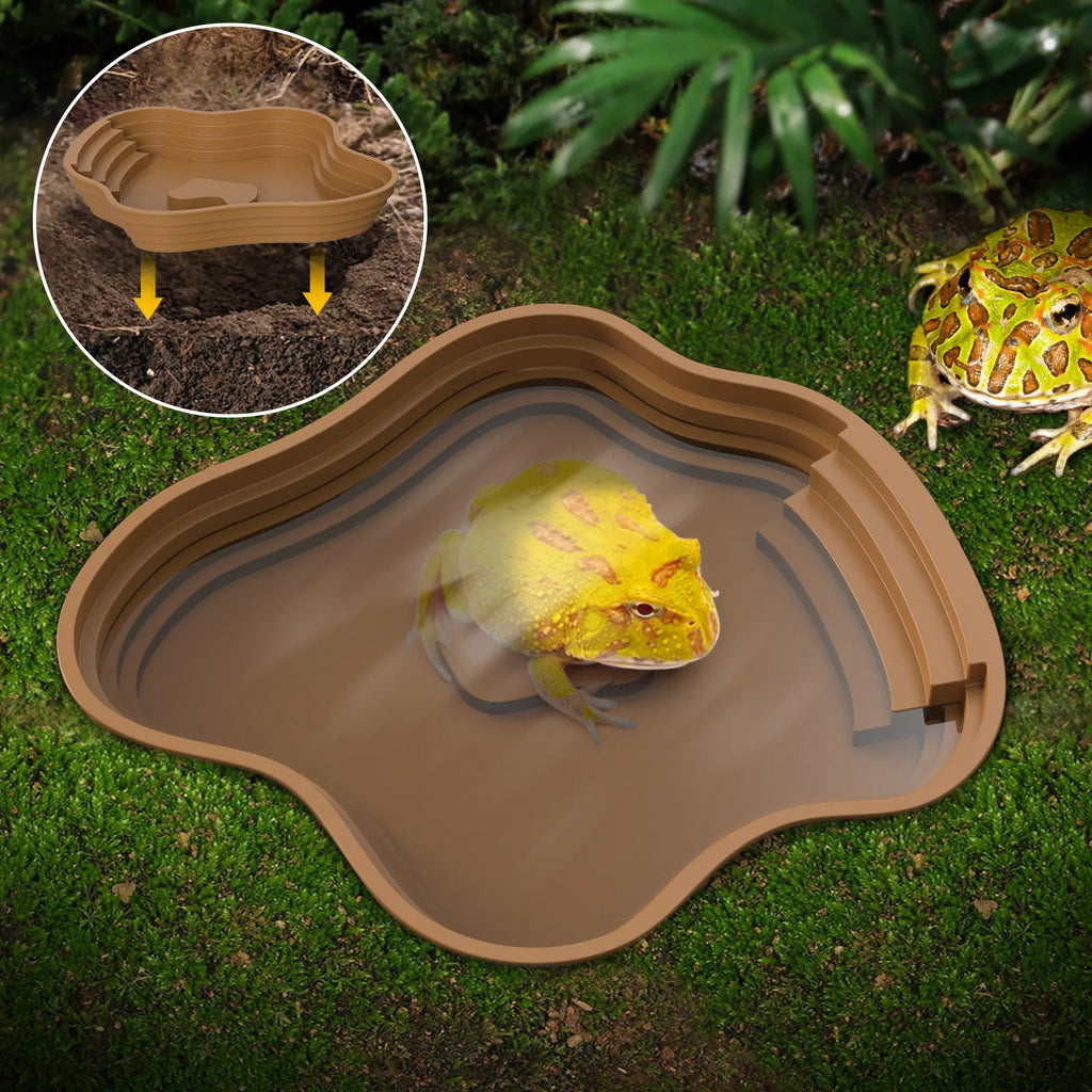 Bassin de Bain et Gamelle Multi-Usage pour Tortue & Reptile - NOMOYPET