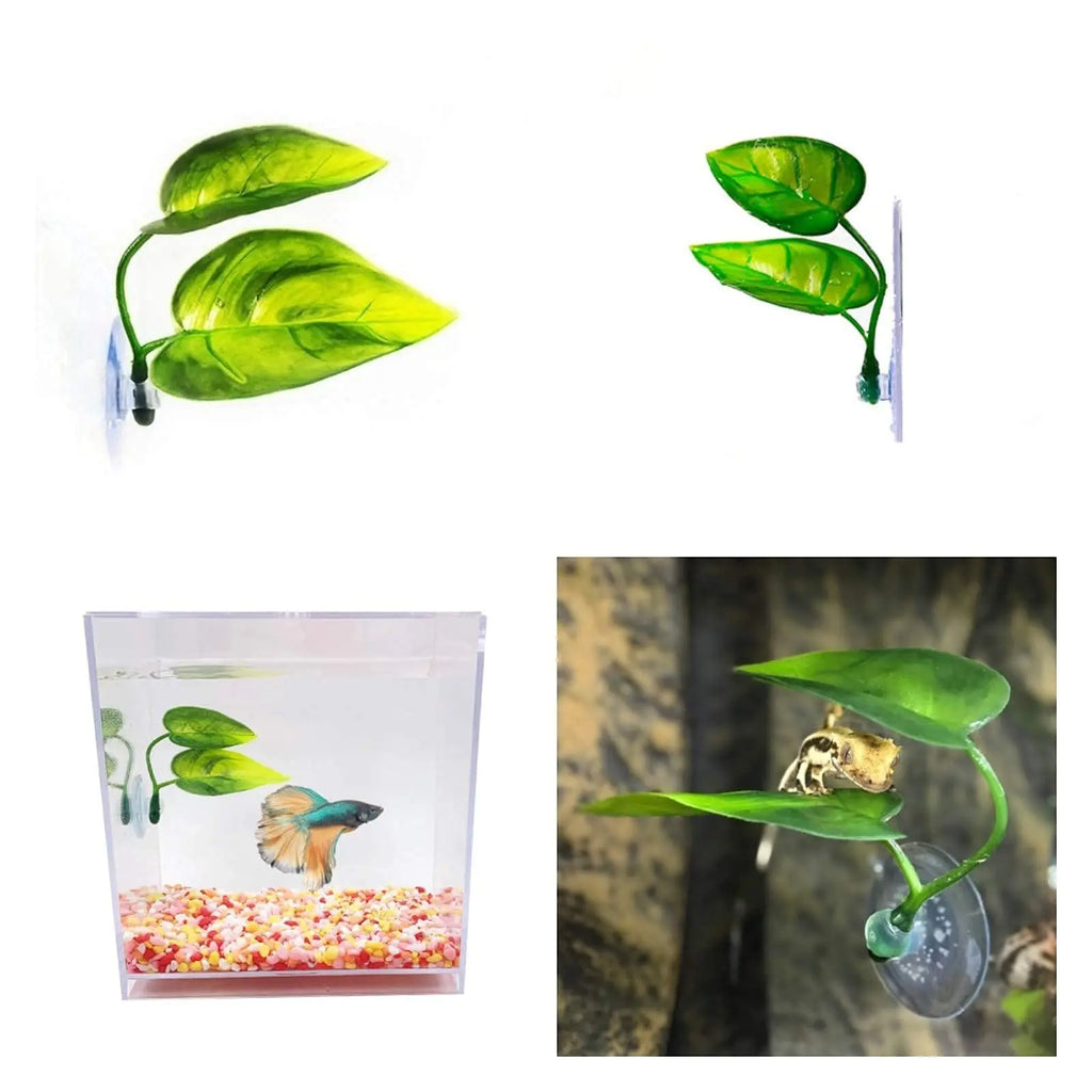 Hamac Feuille à Ventouse pour Aquarium - Repos Poisson Betta