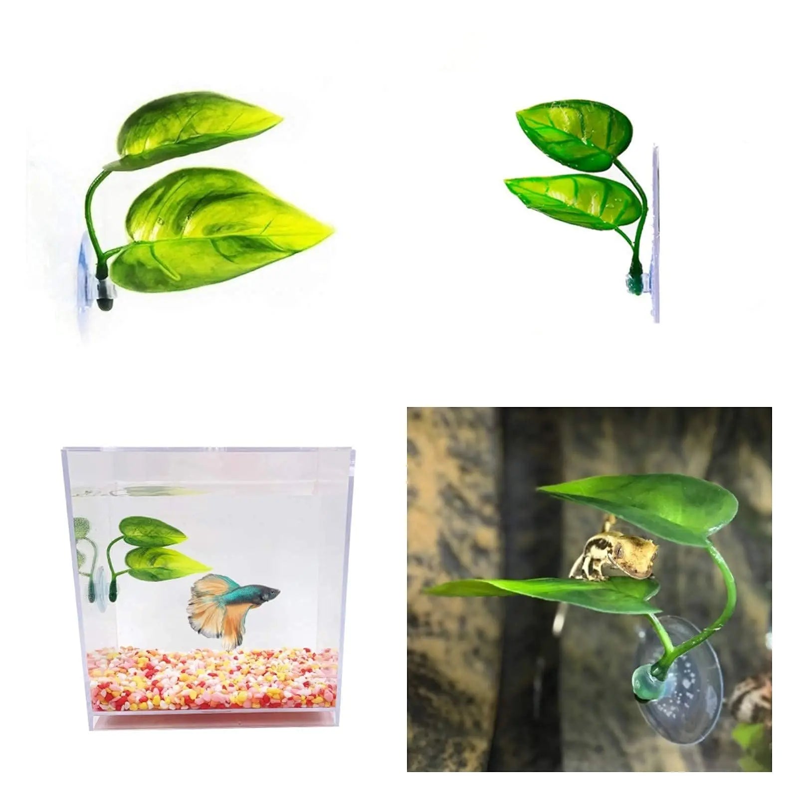 Hamac Feuille à Ventouse pour Aquarium - Repos Poisson Betta