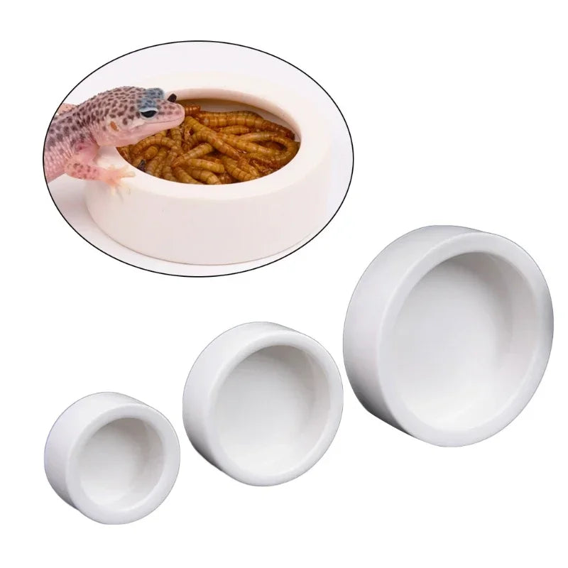 Gamelle Céramique Anti-Fuite pour Reptile - Vers & Insectes
