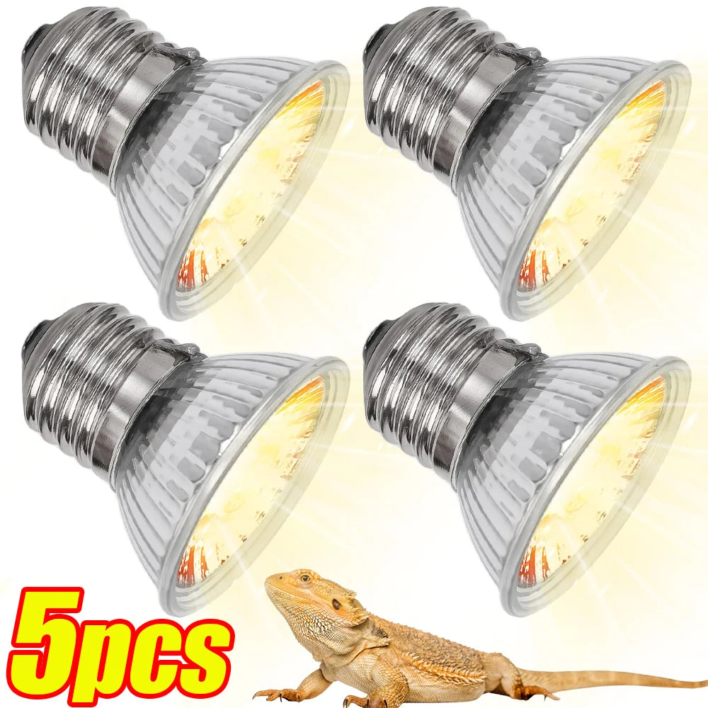 Ampoule Chauffante Spot Basking pour Reptiles & Tortues - Lot de 1 à 5