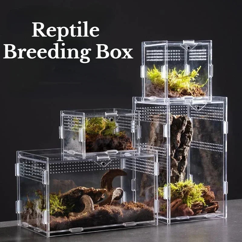 Terrarium Acrylique Transparent pour Élevage - Boîte d'Éclosion Reptiles &amp; Insectes