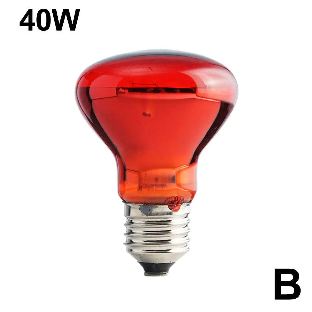 Ampoule Chauffante Infrarouge E27 pour Terrarium - Lampe Reptile 25W-100W