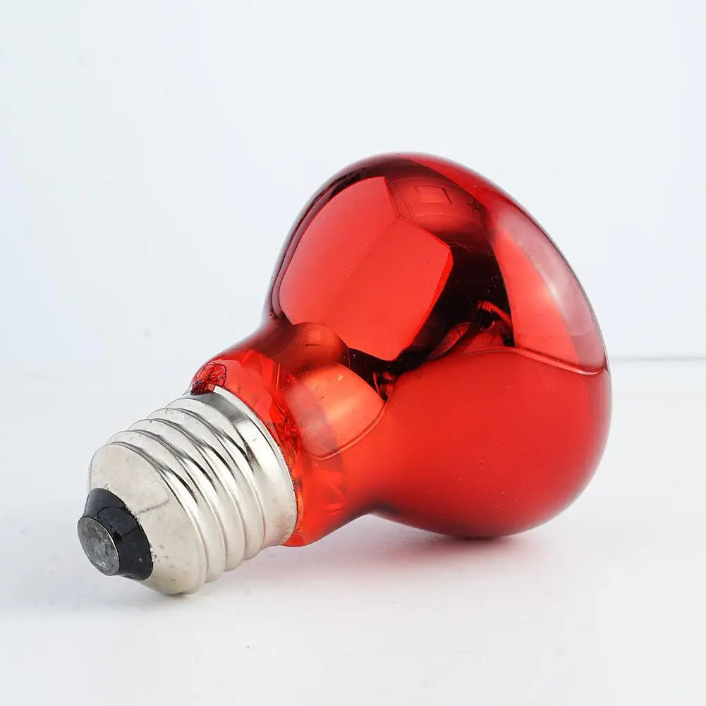 Ampoule Chauffante Infrarouge E27 pour Terrarium - Lampe Reptile 25W-100W