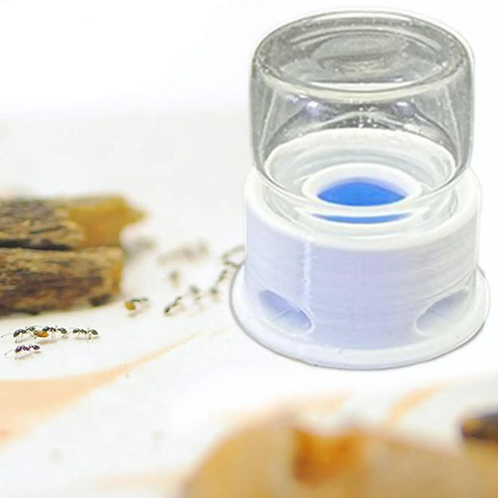 Abreuvoir Anti-Noyade 12ml pour Fourmilière - Point d'Eau Fourmis