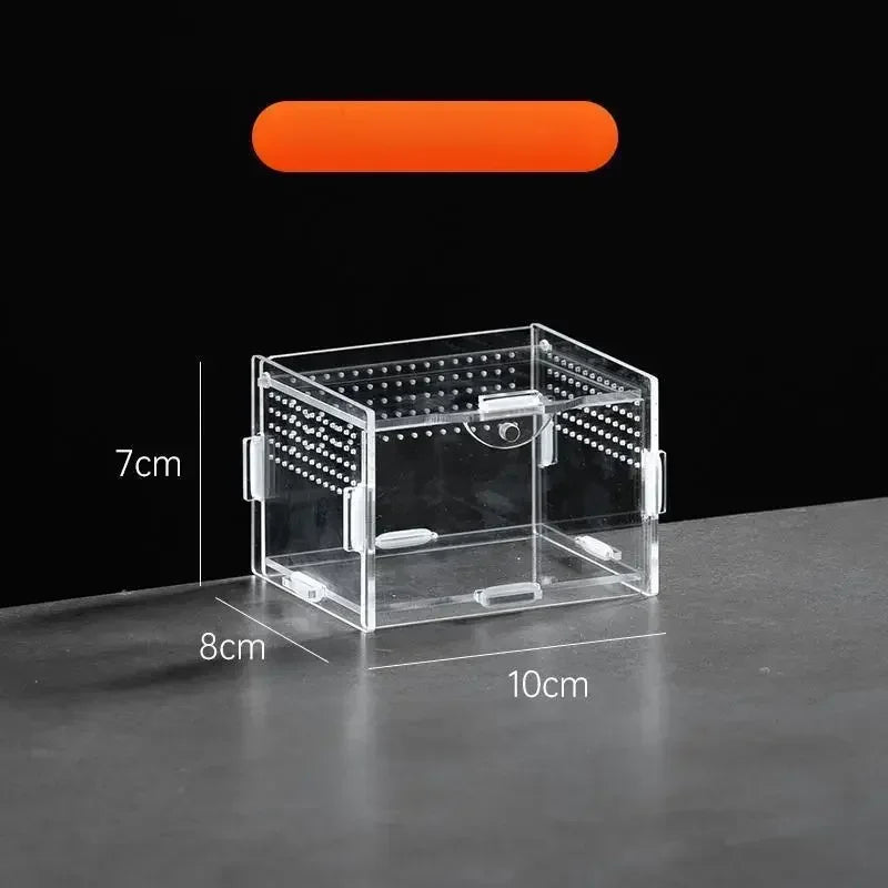 Terrarium Acrylique Transparent pour Élevage - Boîte d'Éclosion Reptiles &amp; Insectes
