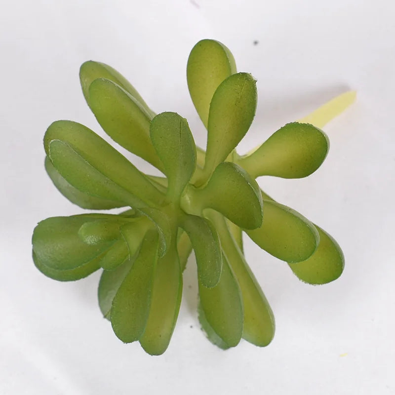 Lot de Plantes Succulentes Artificielles pour Terrarium Désertique