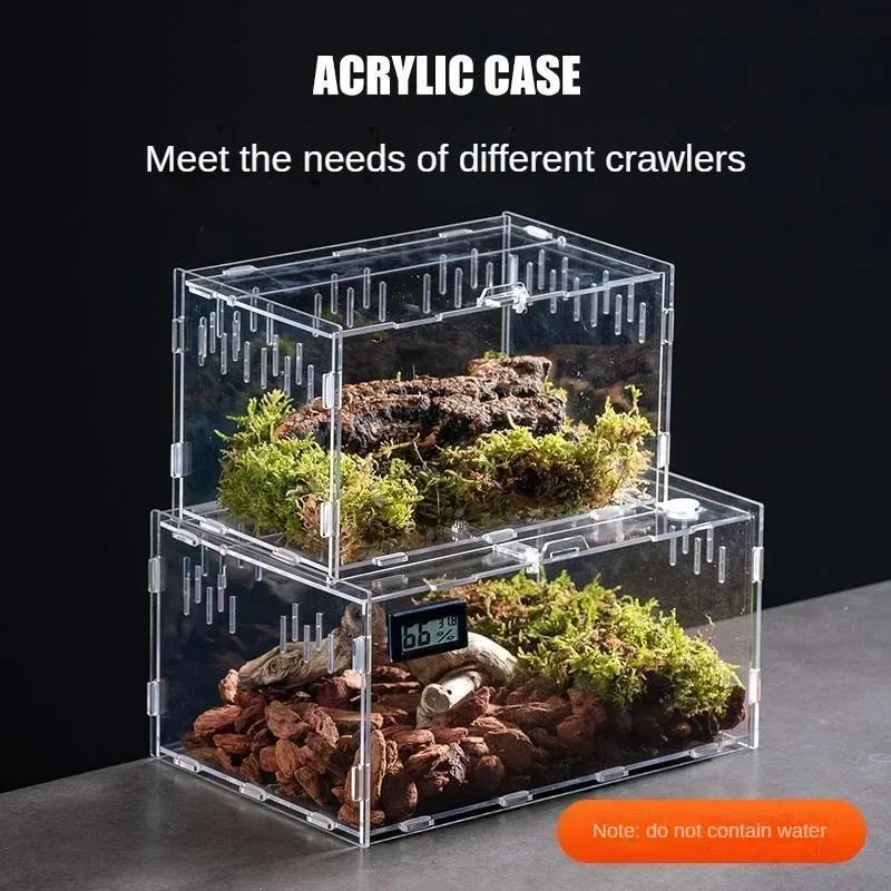 Terrarium Acrylique Transparent pour Élevage - Boîte d'Éclosion Reptiles &amp; Insectes