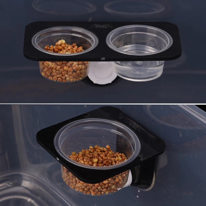 Mini Gamelle à Ventouse pour Gecko & Caméléon