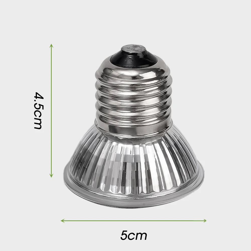 Ampoule Chauffante Spot Basking pour Reptiles & Tortues - Lot de 1 à 5
