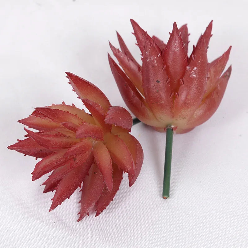 Lot de Plantes Succulentes Artificielles pour Terrarium Désertique