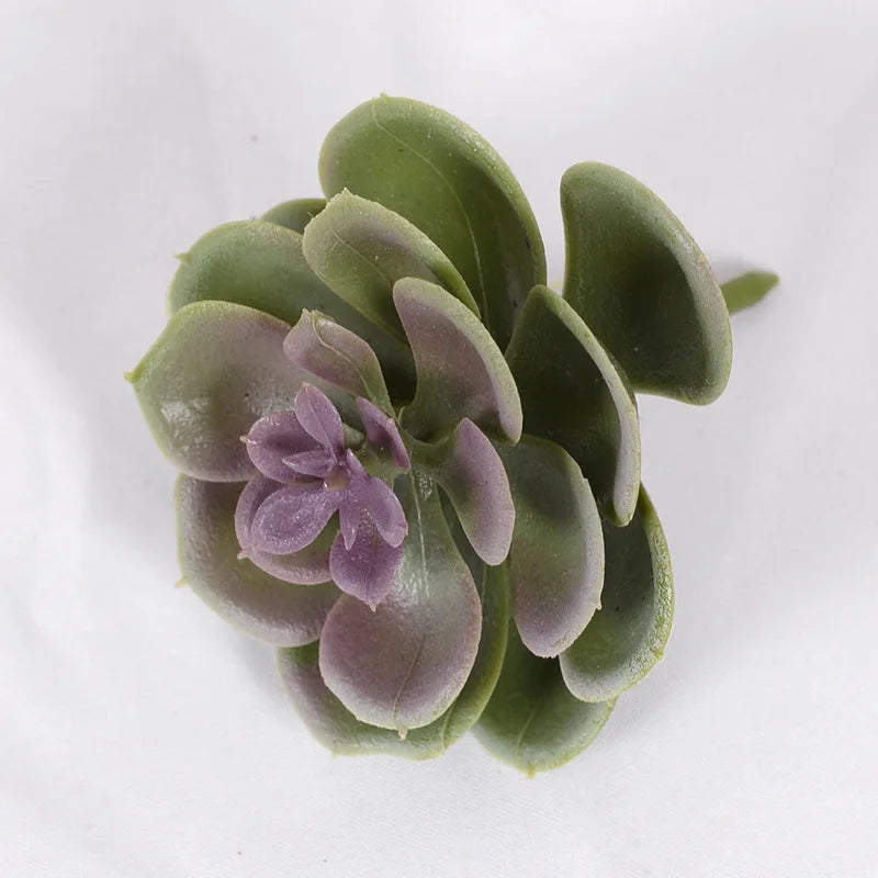 Lot de Plantes Succulentes Artificielles pour Terrarium Désertique