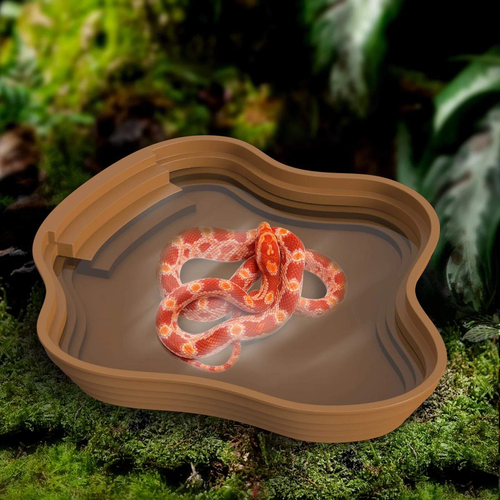 Bassin de Bain et Gamelle Multi-Usage pour Tortue & Reptile - NOMOYPET
