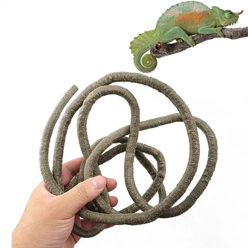 Liane Décorative Flexible pour Terrarium - Branche Artificielle Jungle pour Reptiles