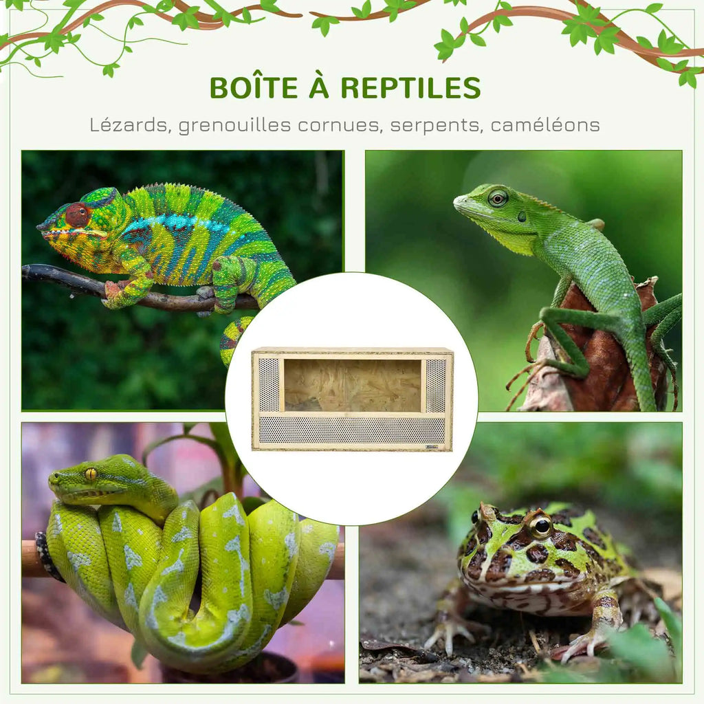 Terrarium en Bois OSB et Verre PawHut 80x40x40cm - Porte Coulissante pour Reptiles