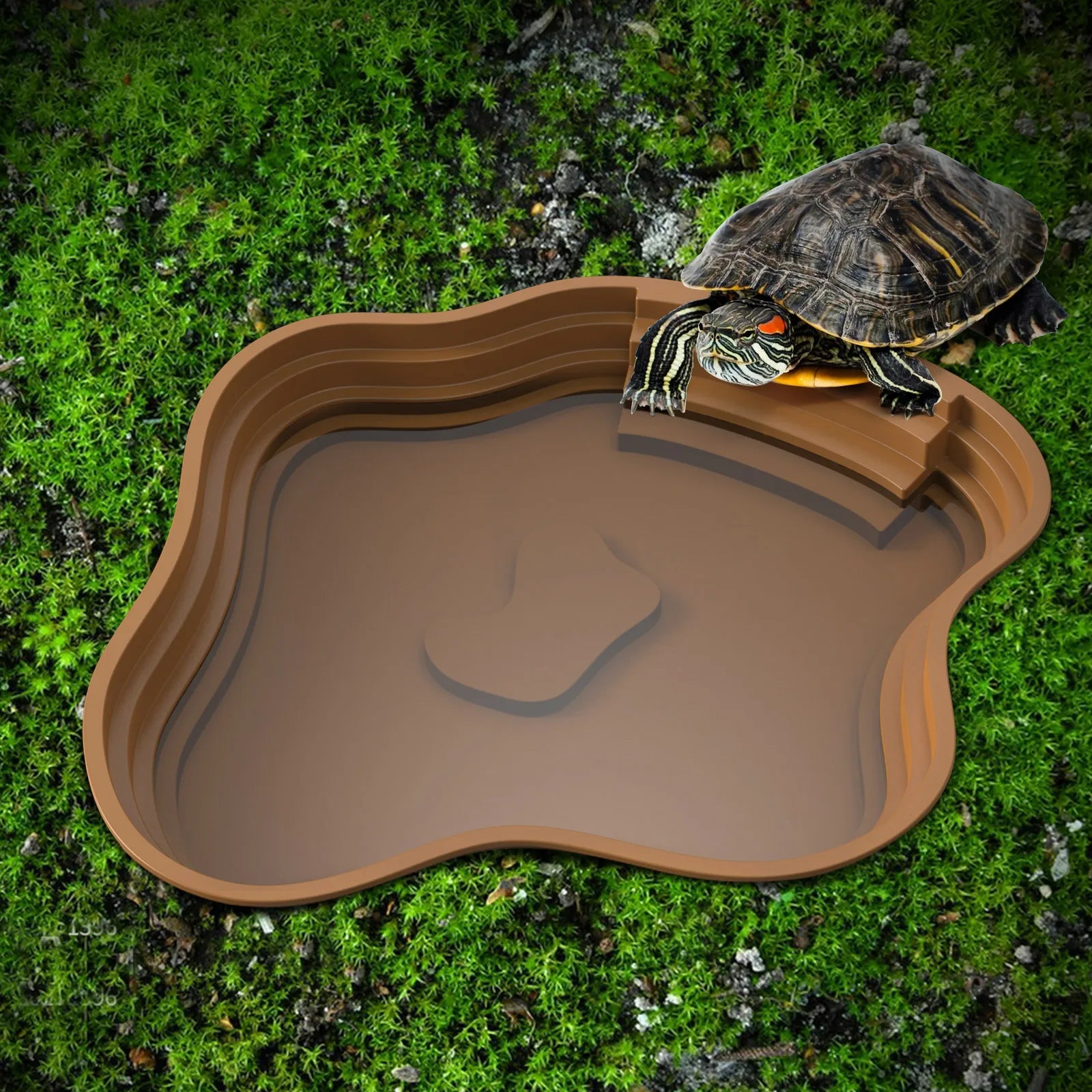 Bassin de Bain et Gamelle Multi-Usage pour Tortue & Reptile - NOMOYPET