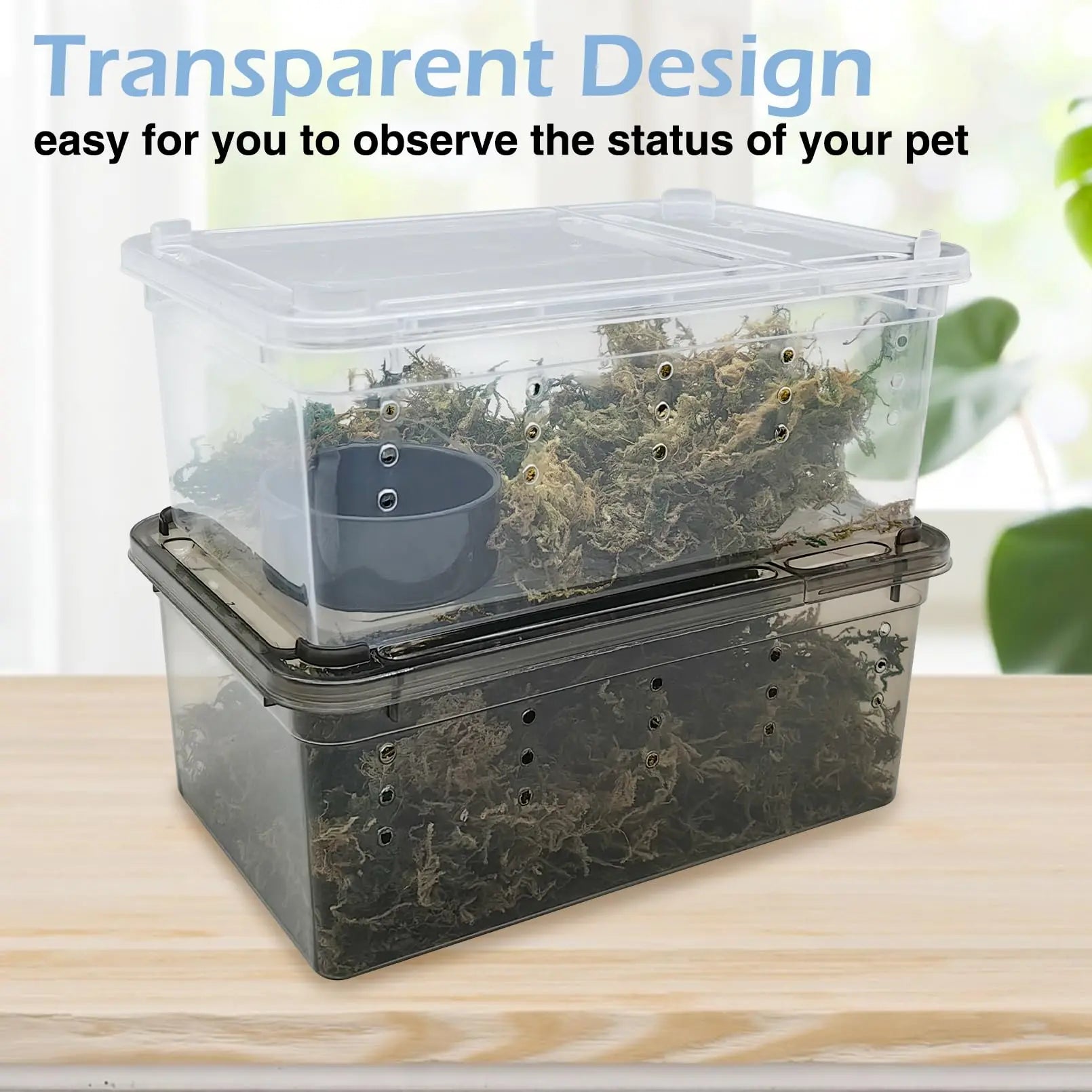 Lot de 6 Boîtes de Transport Transparentes pour Reptiles & Invertébrés