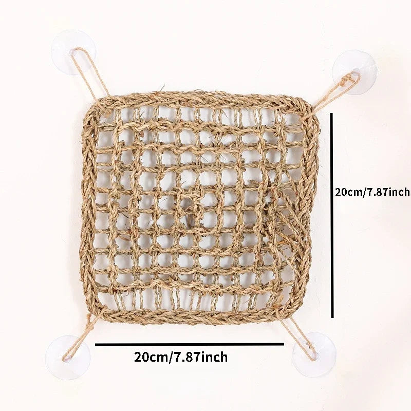 Hamac de Repos Suspendu pour Reptile - Pogona, Gecko, Caméléon, Serpent