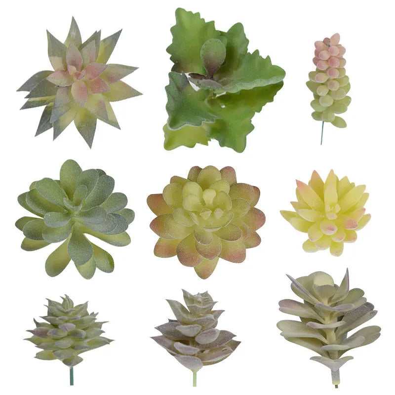 Lot de Plantes Succulentes Artificielles pour Terrarium Désertique
