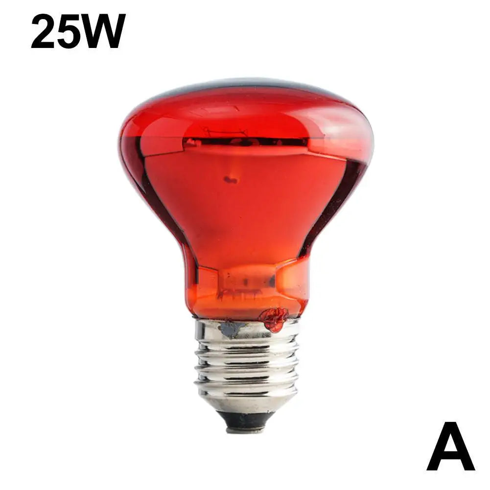 Ampoule Chauffante Infrarouge E27 pour Terrarium - Lampe Reptile 25W-100W