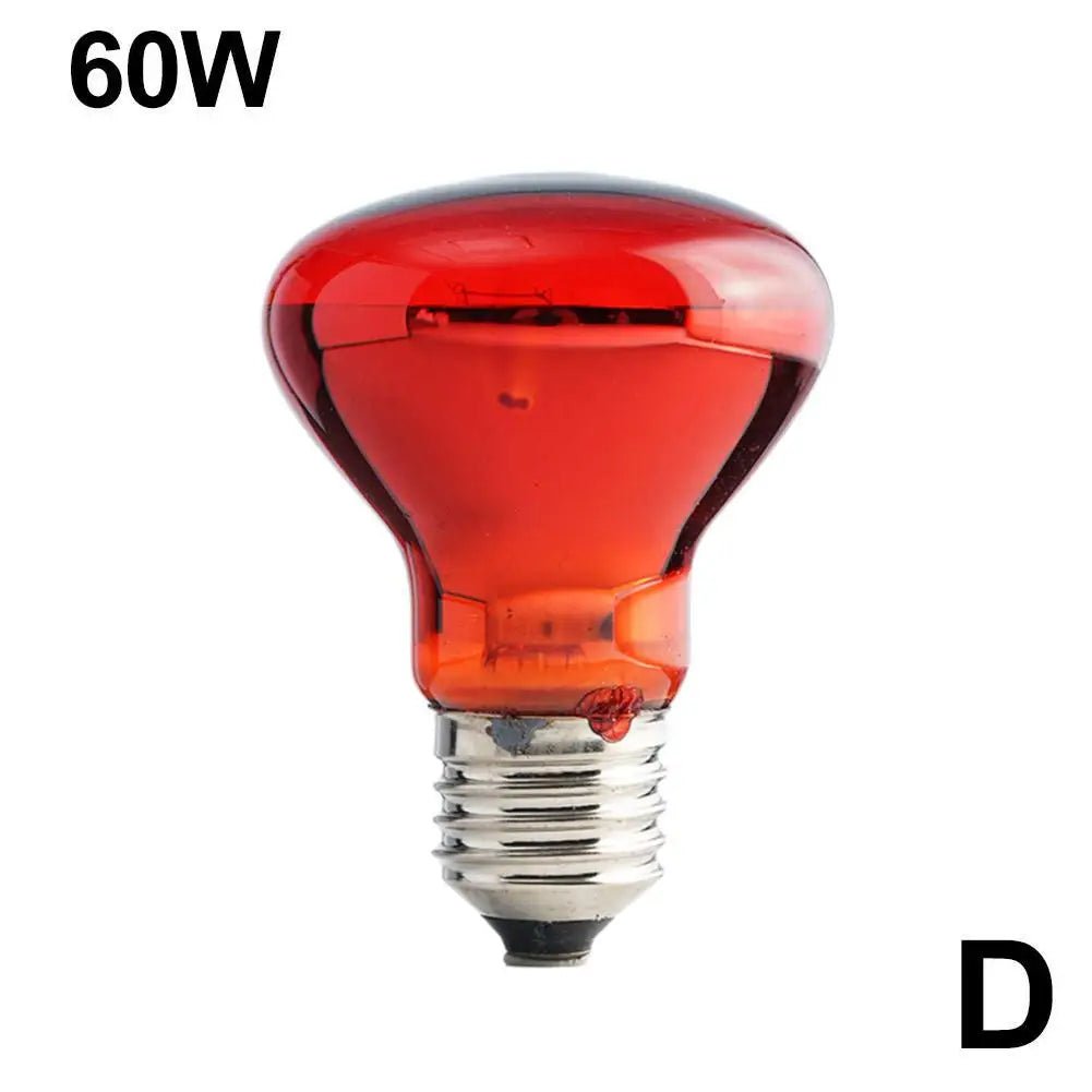 Ampoule Chauffante Infrarouge E27 pour Terrarium - Lampe Reptile 25W-100W
